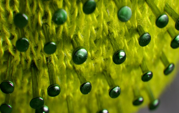 65세이상-대상포진-예방접종-무료-지원-신청방법