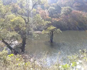 주왕산 국립공원 단풍_26