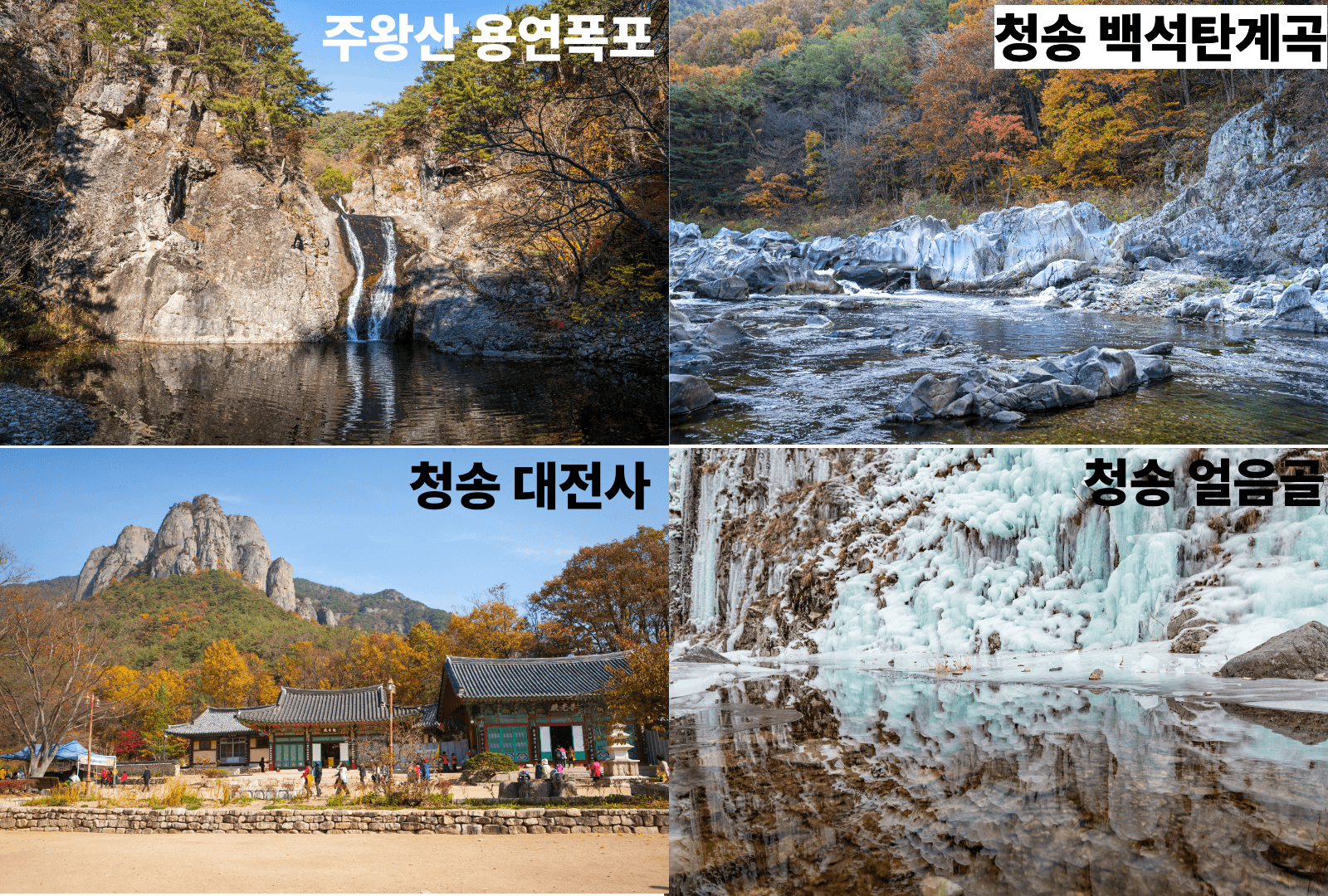 주왕산용연폭포,청송백석탄계곡,청송대전사,청송얼음골