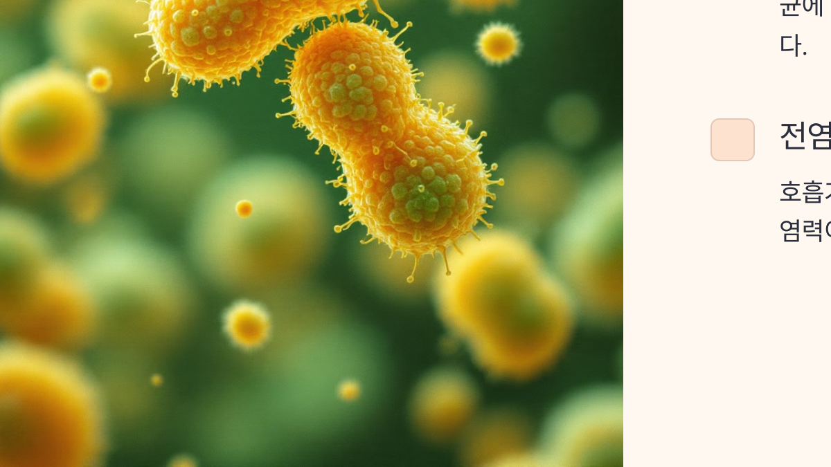 백일해 예방접종 시기와 가격 정보