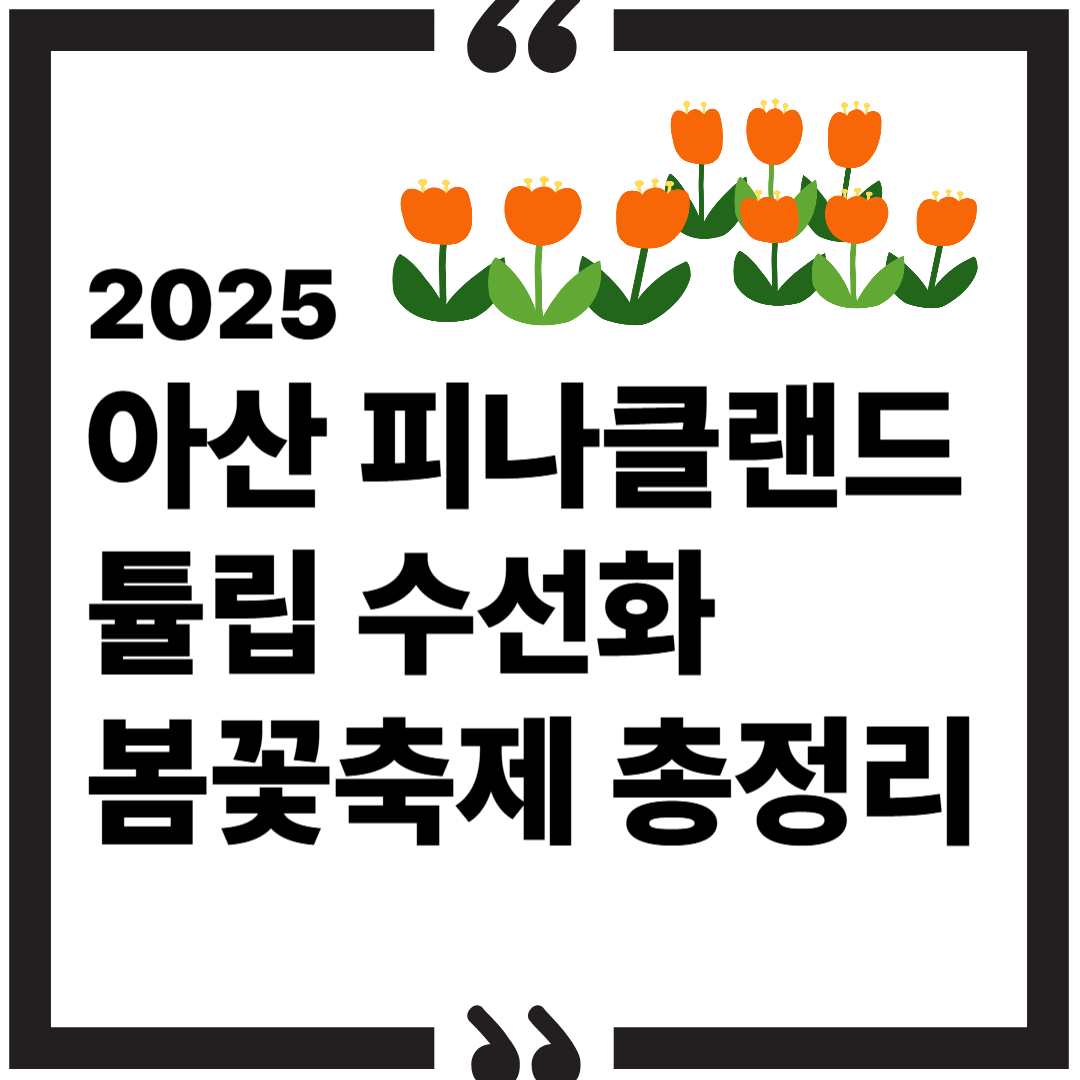 2025 아산 피나클랜드 튤립 수선화 봄꽃축제 총정리 썸네일 이미지