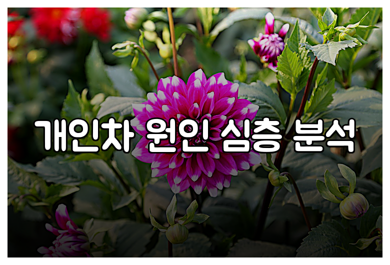 개인차 원인 심층 분석