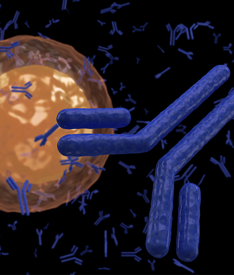 큐리옥스바이오시스템즈 공모주