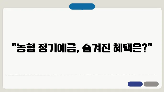 농협은행 정기예금 금리비교 이율 알아보기