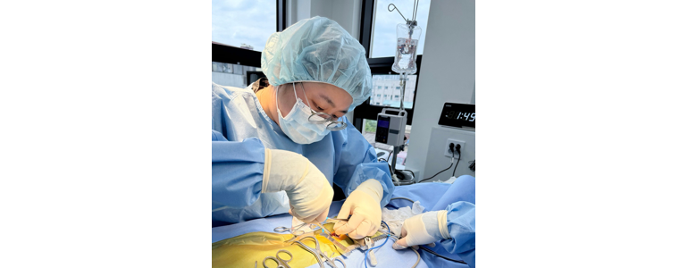 안성시 동물병원