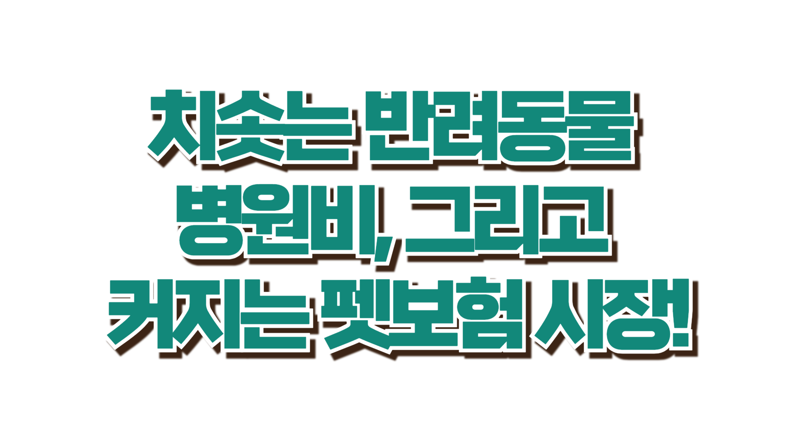 확 커지는 펫보험 시장, 지금 알아보세요 사진