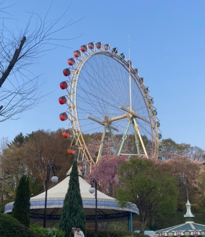 에버랜드 큐패스 패키지 구입