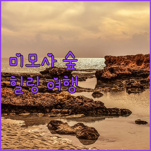 미모사 포레스트의 숨겨진 매력 고요한