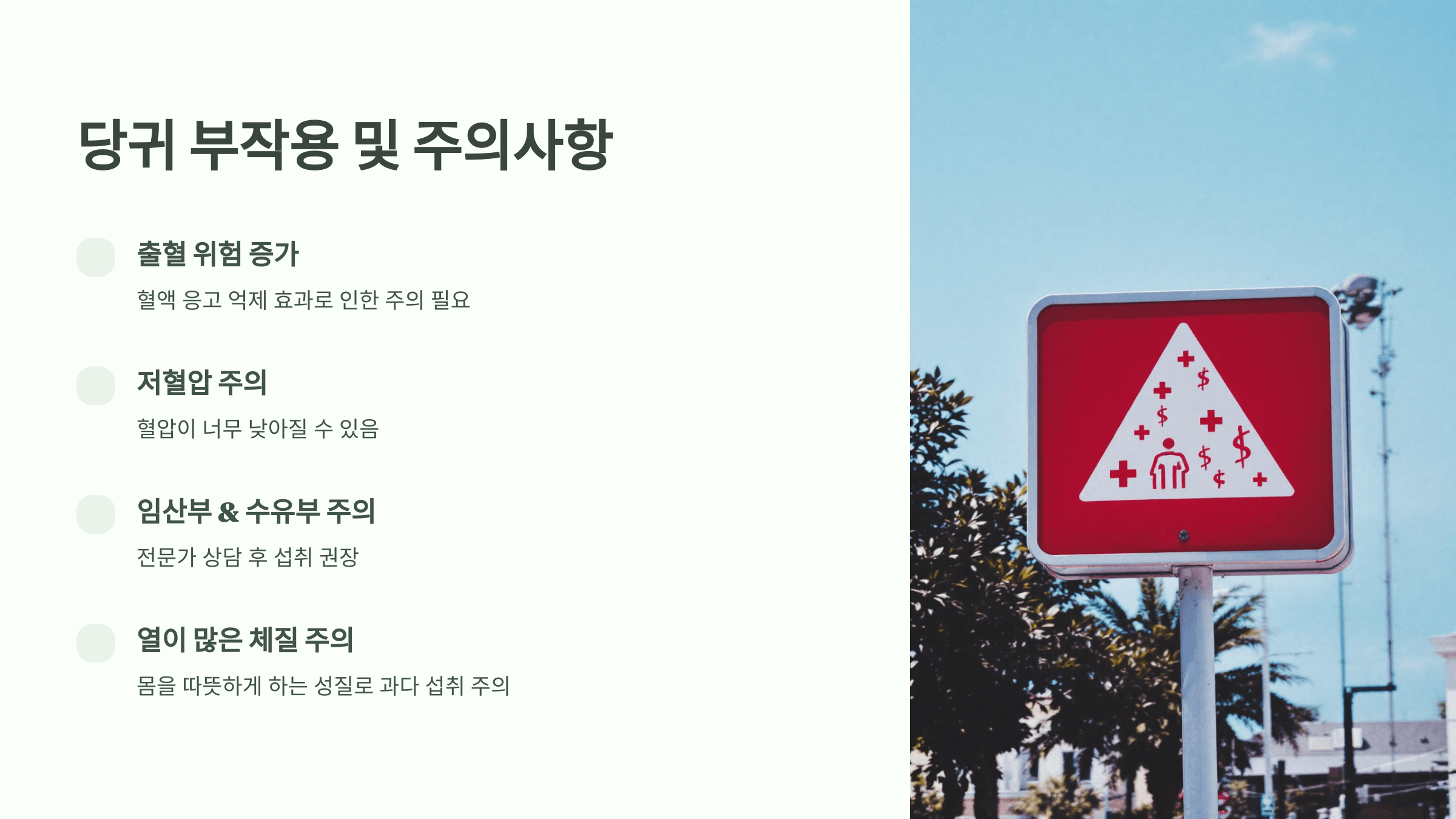 당귀 사진입니다.