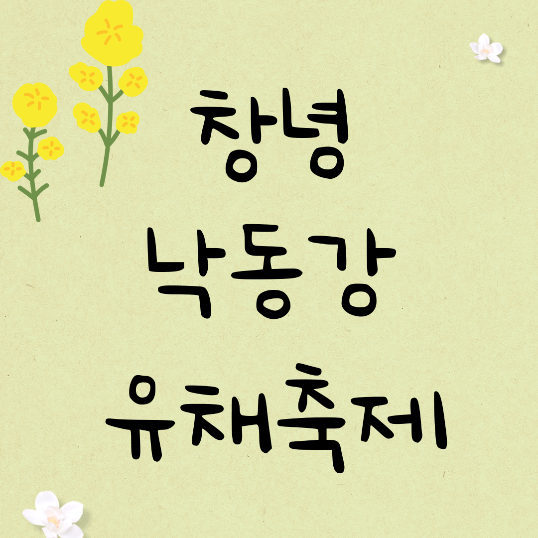 창녕 낙동강 유채꽃 축제
