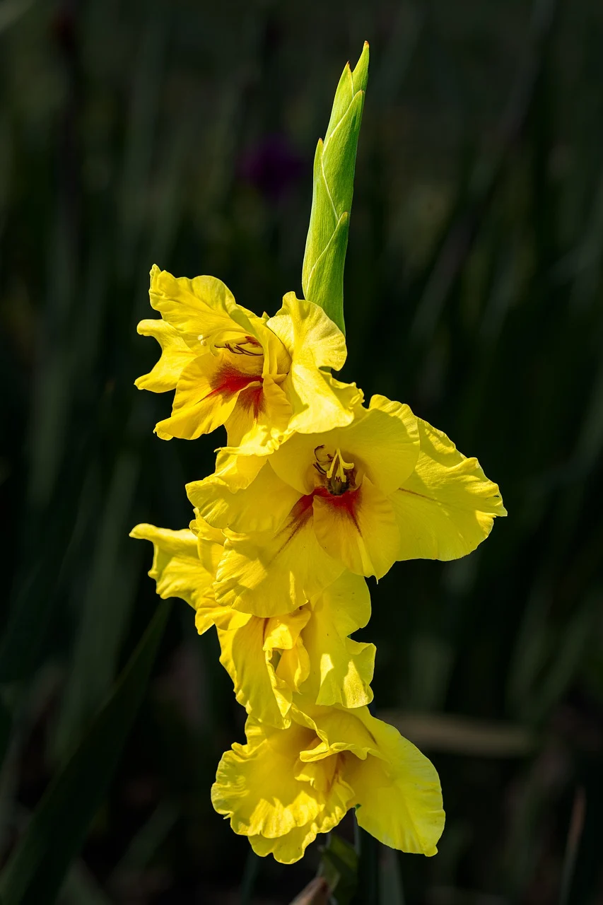 송파구 9시 이후 늦게까지 운영하는 맛집 Best4