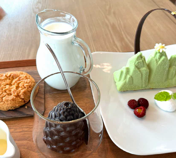 생방송 투데이 고성 더엠브로시아 카페 커피 경치 맛집