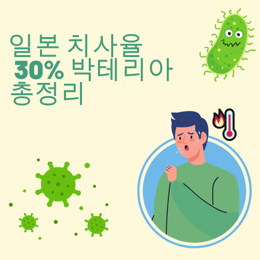 일본 치사율 30% 박테리아 내용 총정리