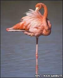 노화예방 눈감고 외발로 서기