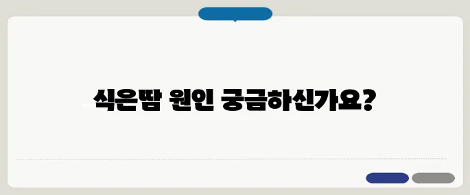 식은땀 나는 이유 알아보기 스트레스성? 호르몬 문제?