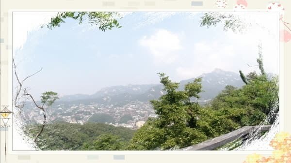 북악스카이웨이 산책로 완벽 가이드: 초보자도 쉽게 따라하는 코스