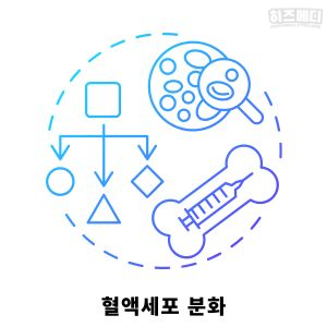 빈혈 원인 만성 질환