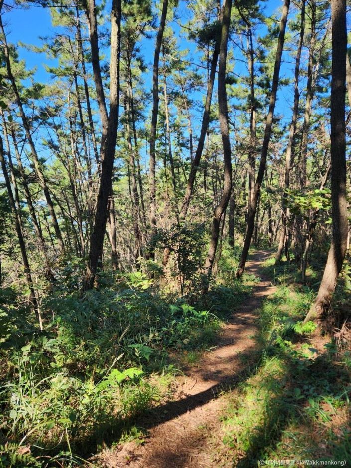 태안 가볼만한곳 베스트10