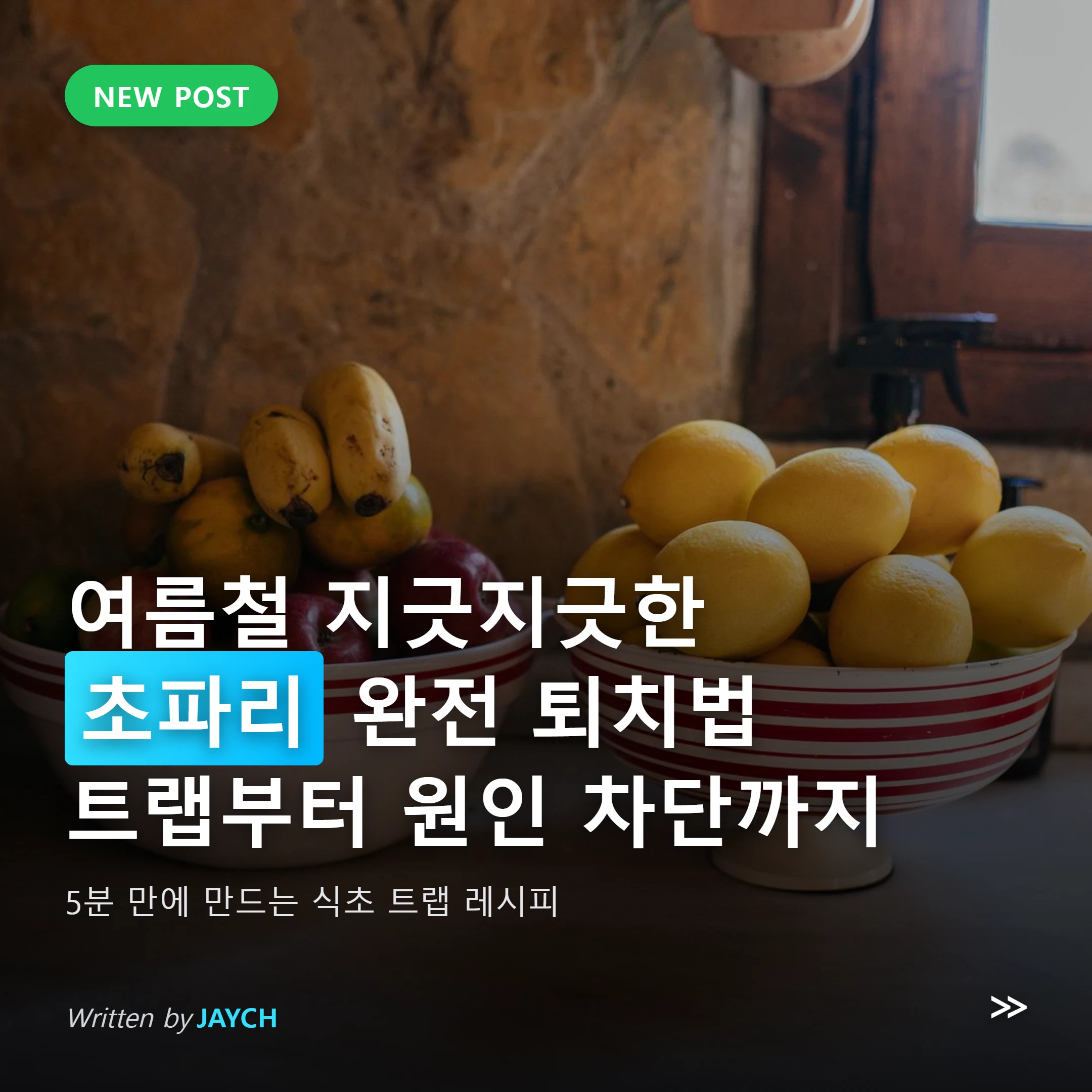 여름철 초파리 퇴치 썸네일 - 주방 과일 바구니 이미지