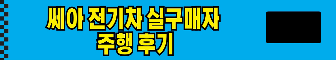 쎄아전기차 실구매 후기, 가격, 보조금 장 단점