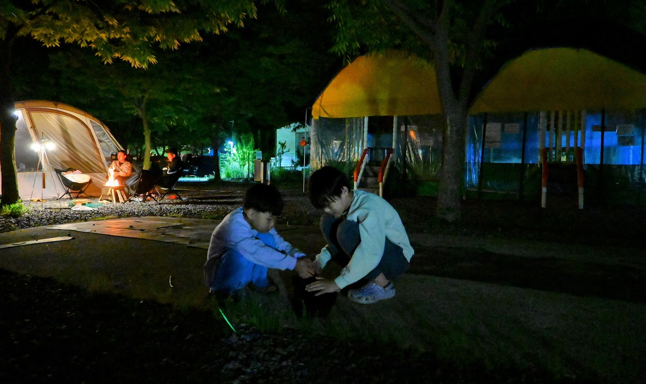 해루질을 할수 있는 태안 라온캠핑장 후기 사진 13