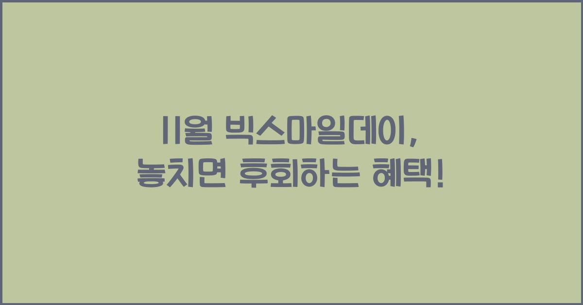 11월 빅스마일데이