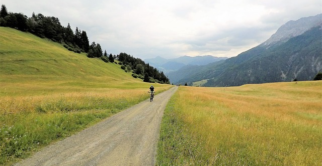최소안의 노력이 필요하다.