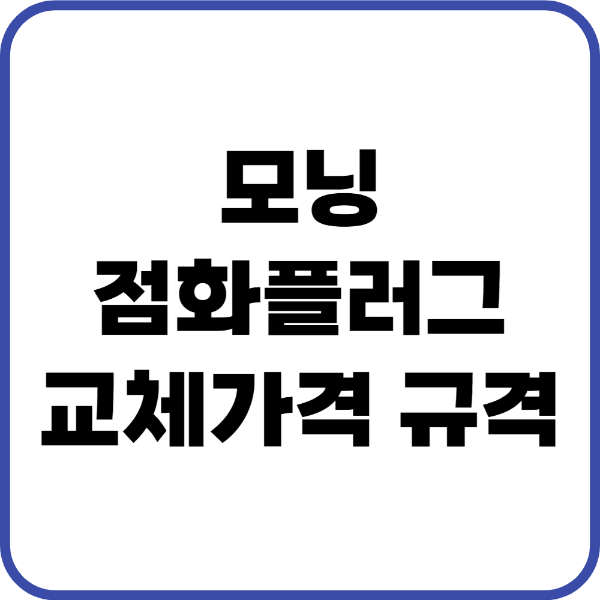 모닝 점화플러그