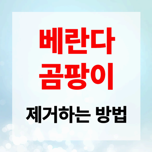 베란다 결로 곰팡이 제거방법