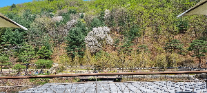 화담숲