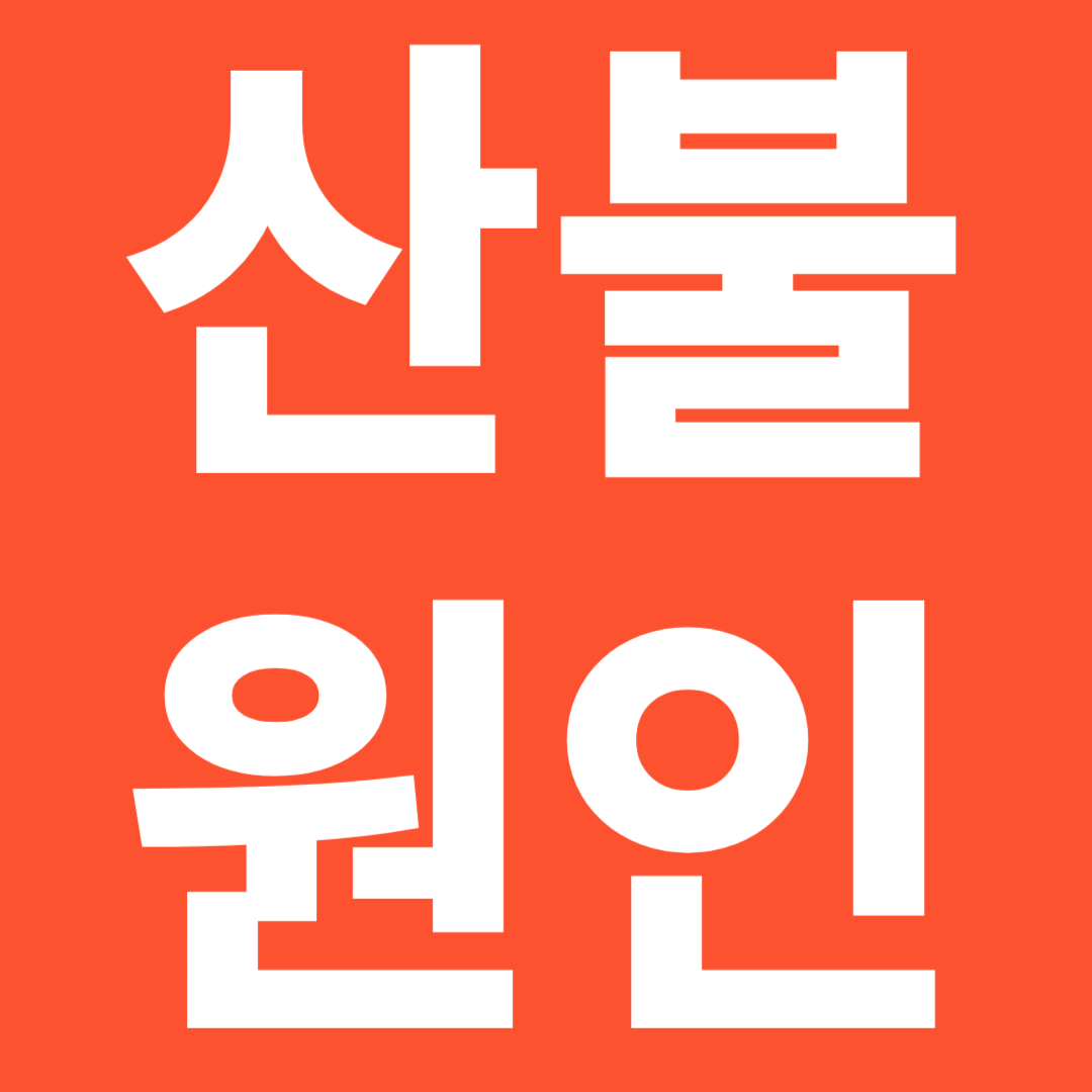 산불원인