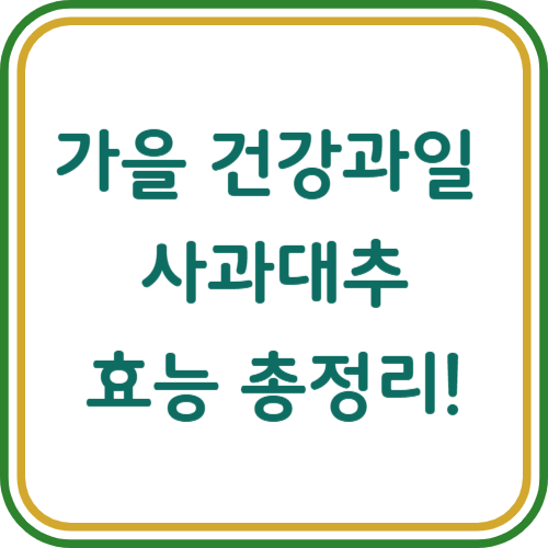 사과대추 효능