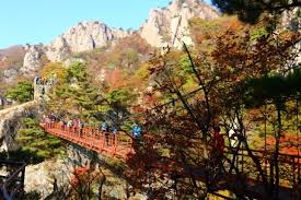 대봉산 숲속힐링