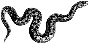 10월 띠별 운세 이달의 운세 월간운세 별자리운세