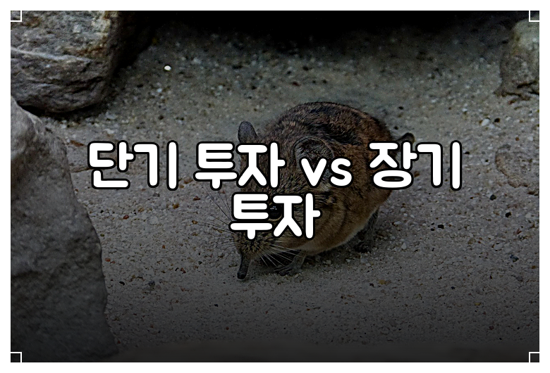 단기 투자 vs 장기 투자