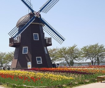 봄 여행지 추천