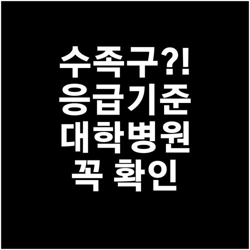 수족구 응급 상황 기준과 대학병원 가..