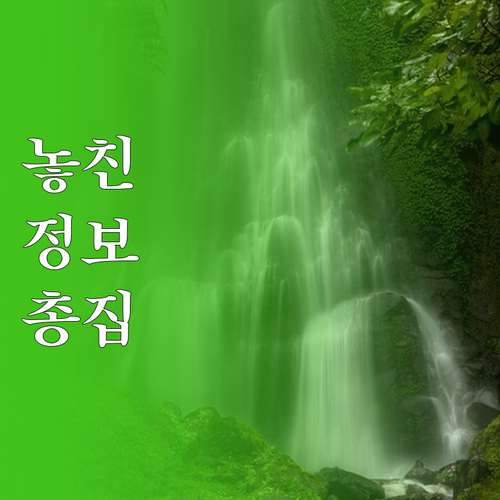 무주택세대구성원 자격 조건 완벽 정리..