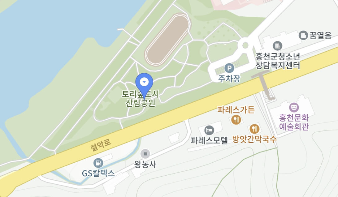 홍천강 별빛음악 맥주축제