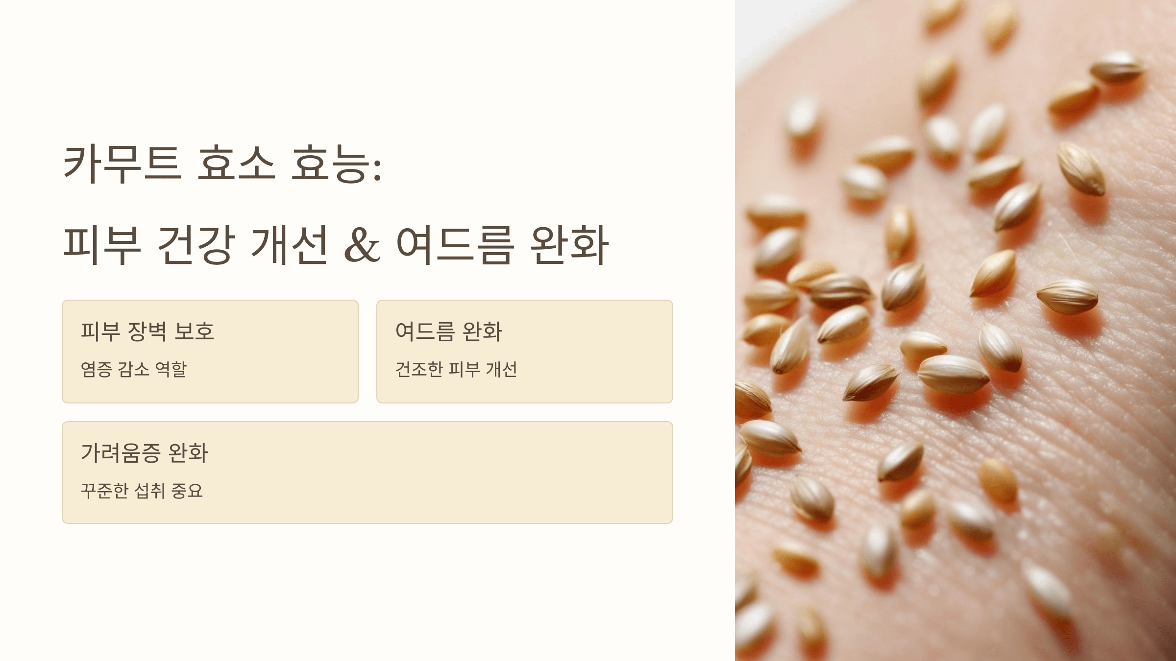 카무트 효소와 관련된 사진입니다.