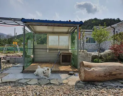 들꽃펜션