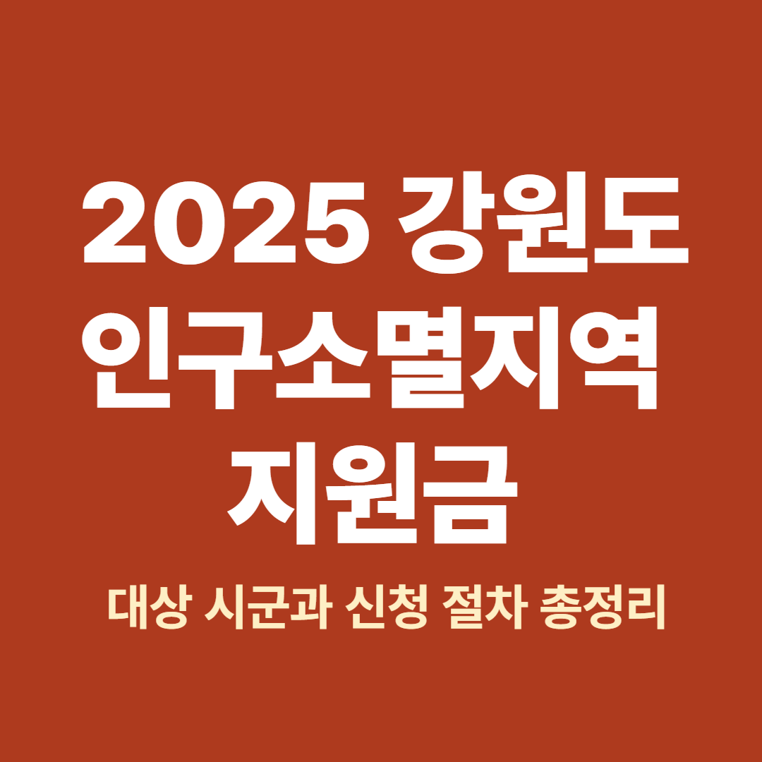 강원도 인구소멸지역 주민 대상 민생지원금 신청 절차 안내