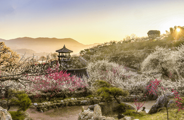 3월여행지추천&amp;#44; 가볼만한곳&amp;#44; 봄꽃여행