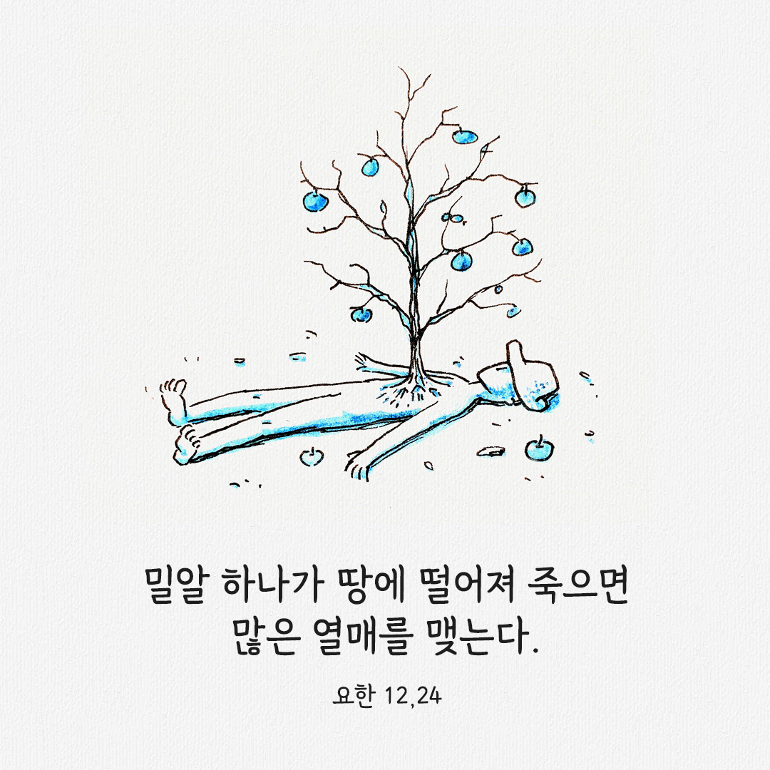 밀알 하나가 땅에 떨어져 죽으면 많은 열매를 맺는다. (요한 12&#44;24)