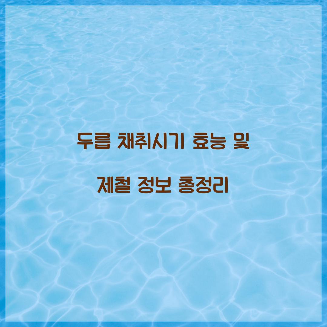 두릅 채취시기 효능