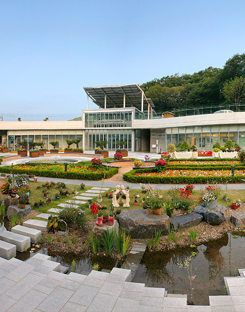 신구대학교 식물원 수국