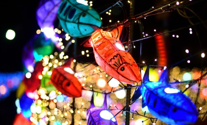 2025화천산천어축제