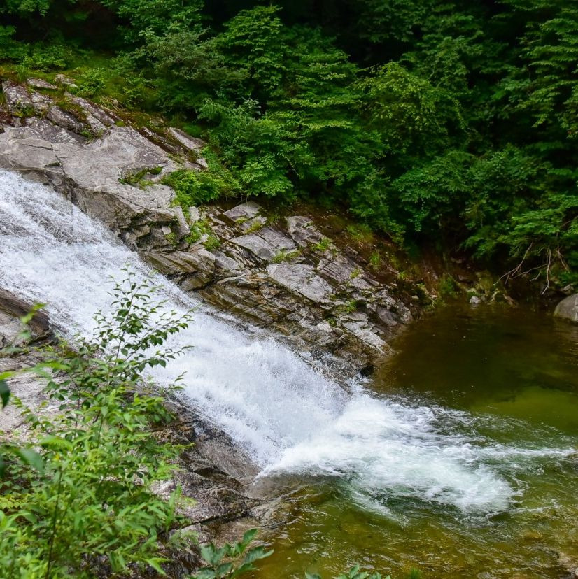 치산계곡