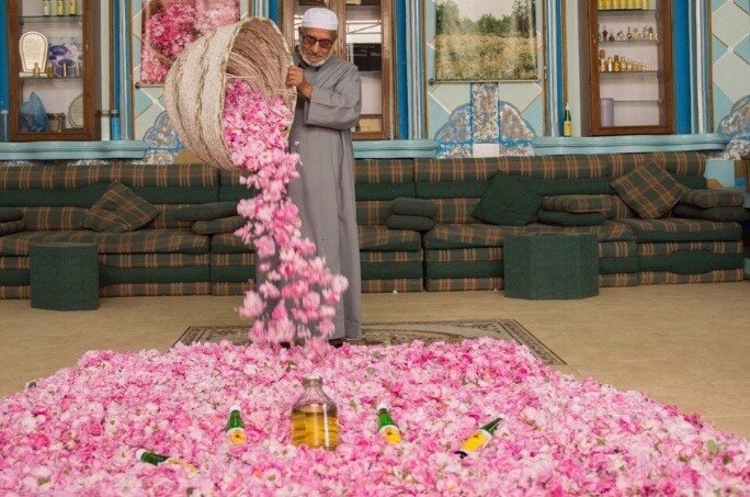 타이프 장미축제 관련 사진