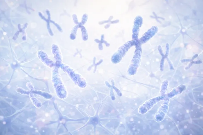 모야모야병 완치